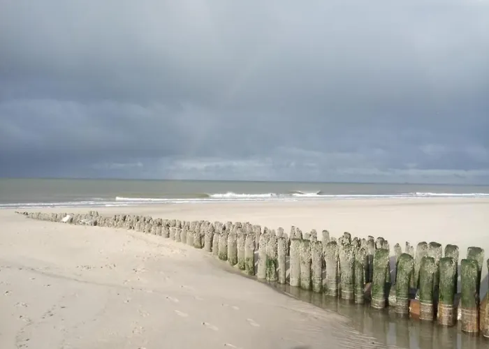 아파트 Meeresrausch